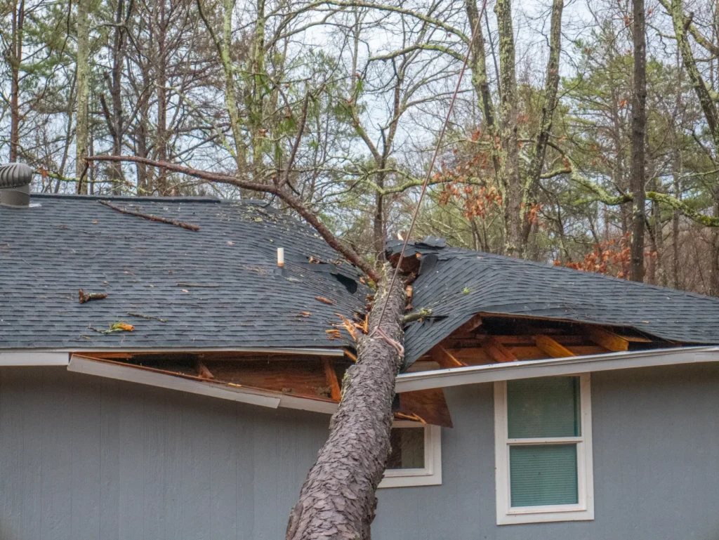 Wildomar Storm Damage Restoration