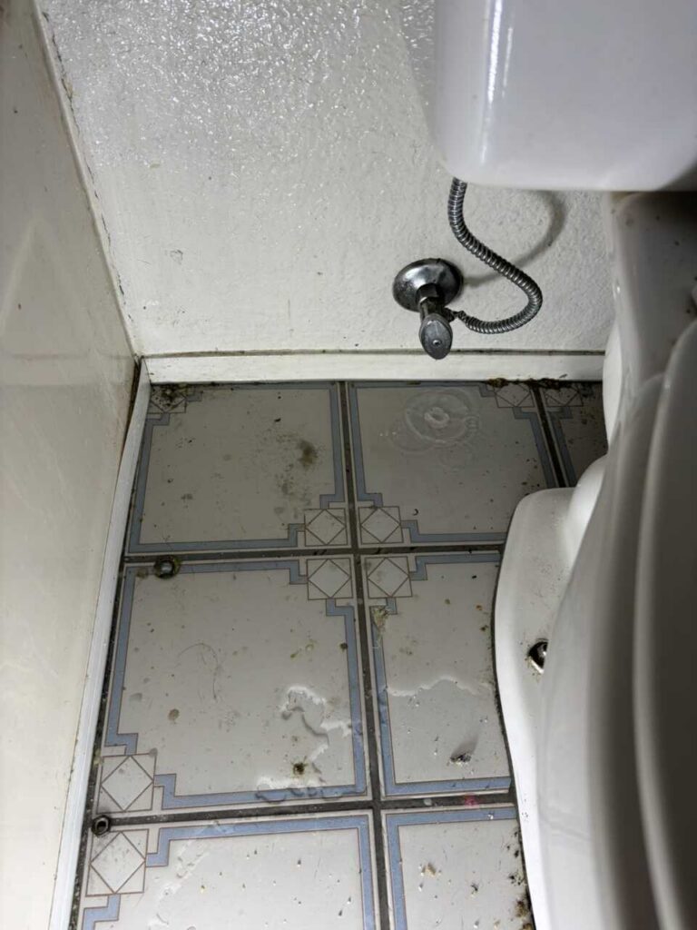 Water Damage Restoration and Rebuild in Hemet, CA