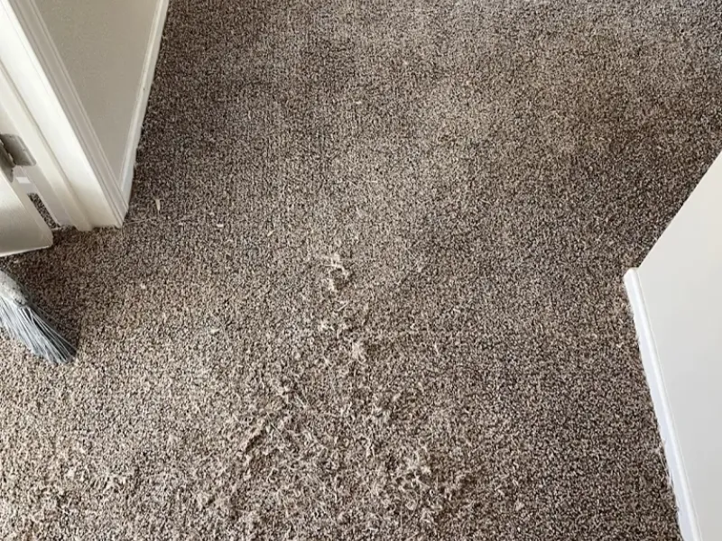 Carpet with a large area of pulled and frayed fibers near a doorway.